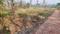 Birlapur Main Image 1
