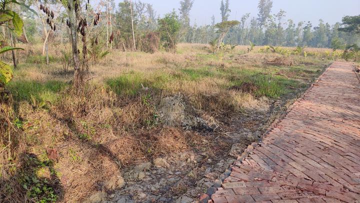 Birlapur Main Image 1
