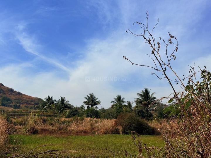 valora vibe Main Image 1