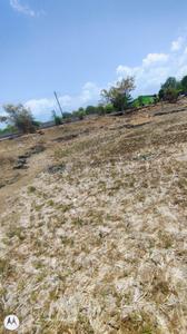 Residential Plot