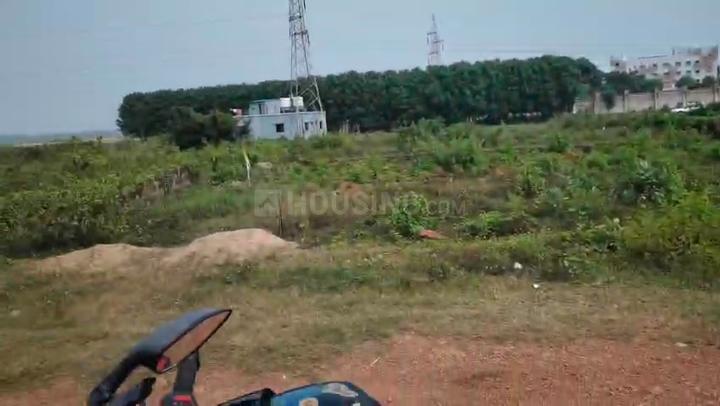 Patharagadia Main Image 1