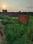 Chilbili Boundy Plot Main Image 1