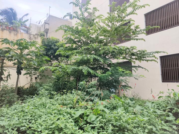 Kanaka Nagar, Hebbal Main Image 1