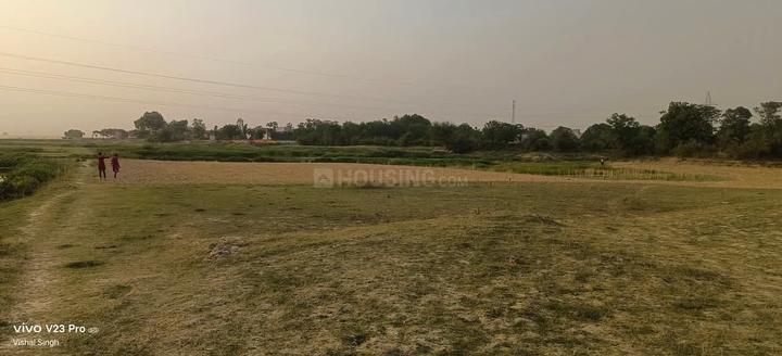 Eco garden Main Image 1