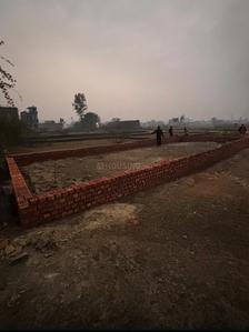 Dashauli Plot View 1