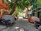 Sarvamangala Colony Main Image 1