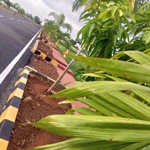 Image of 1980 Sq.ft Residential Plot / Land for sale in Amaravati, Guntur for Rs. 5500000