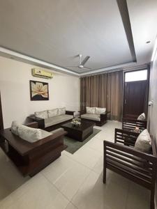 Hall Image of 1200 Sq.ft 2 BHK Builder Floor for rent in Sector 77 Mohali for Rs. 38000