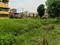 Pailan Plot View 2