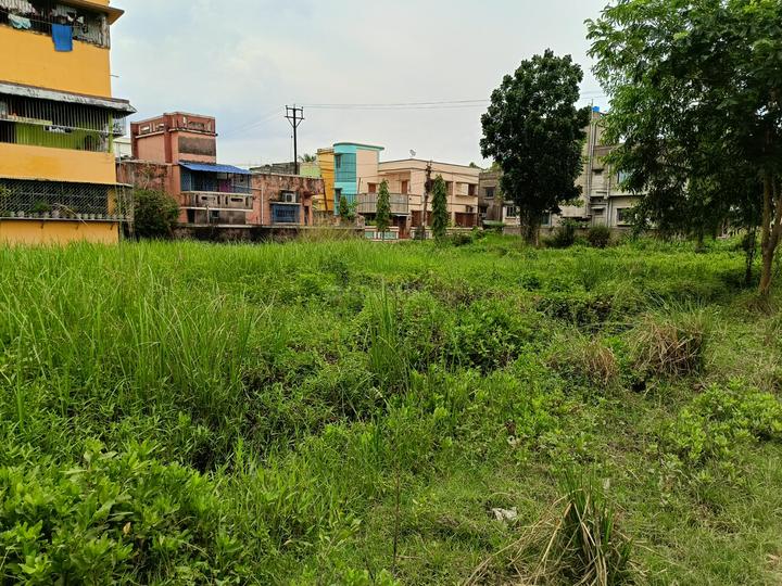 Pailan Main Image 1