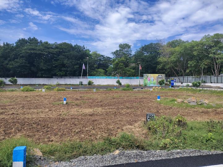 TVS Emerald Lake Shore Main Image 1