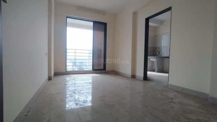 Ornate Galaxy Main Image 1