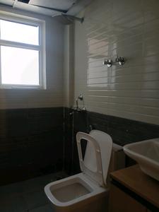 Common Bathroom Image of 700 Sq.ft 3 BHK Apartment / Flat for rent in Sector 108 Gurgaon for Rs. 16000