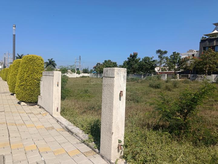 Nipania Main Image 1