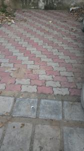 Image of 2400 Sq.ft 3 BHK Independent House for sale in Sector 60, Mohali for Rs. 60000000