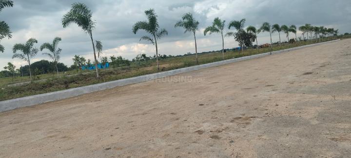 Sri cunty Main Image 1