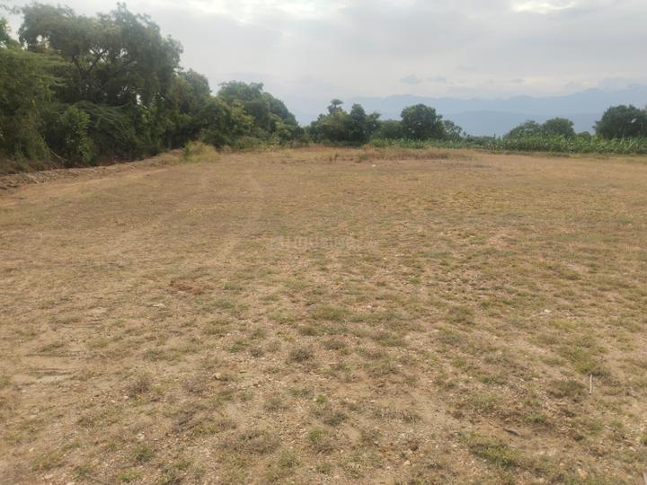 Karamadai Main Image 1