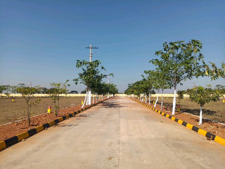 Alekya nsr county Main Image 1