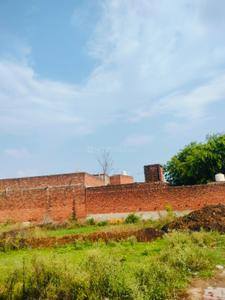 Juggaur Plot View 1