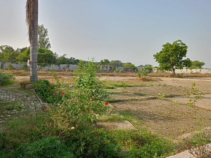 Residential 1000 Sqft Plot for sale at Pandit Khera, Lucknow Property