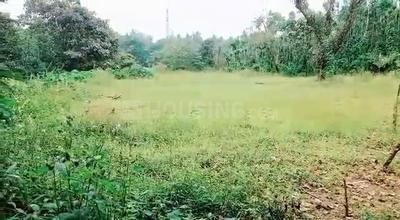 Image of 10856 Sq.ft Residential Plot / Land for sale in Banakal, Chikkamagaluru for Rs. 22000000