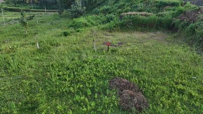 Image of 2200 Sq.ft Residential Plot / Land for sale in Neral, Thane for Rs. 2400000