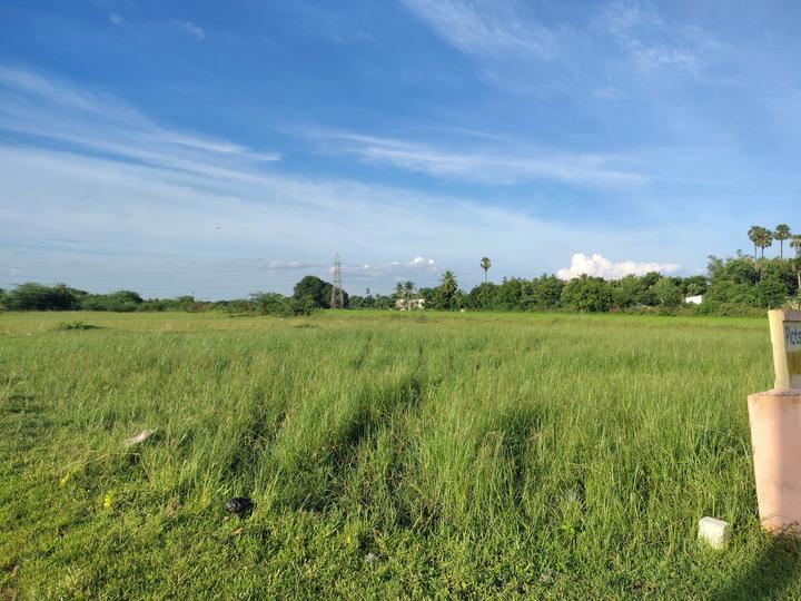 Veeraragavapuram Main Image 1