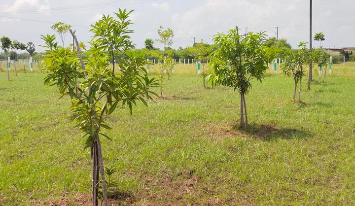 Wisdom Sri Sai Garden Main Image 1