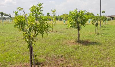 Image of 9600 Sq.ft Residential Plot / Land for sale in Walajabad, Chennai for Rs. 2496000