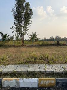 Residential Plot