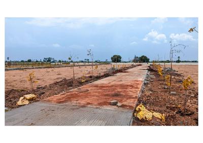 Sunsiri Projects The Rise Plot View 1