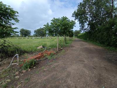Weekend Homes Plot View 1