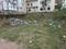 Boreya Main Image 1