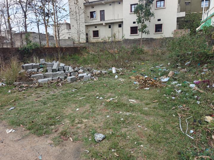 Boreya Main Image 1