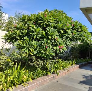 Image of 12000 Sq.ft 6 BHK Independent House for sale in Injambakkam, Chennai for Rs. 280000000