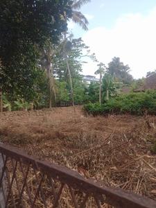Image of 3659 Sq.ft Residential Plot / Land for sale in Chembukkav, Thrissur for Rs. 19300000