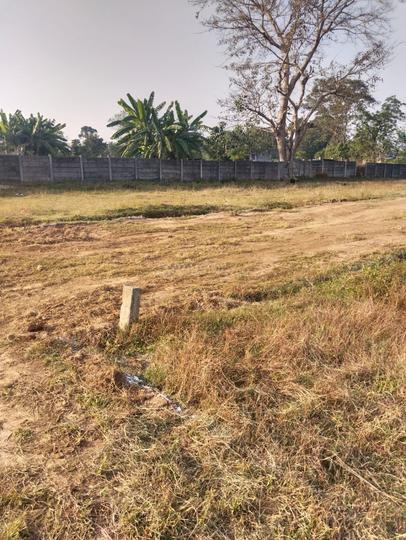 Duplex  Main Image 1