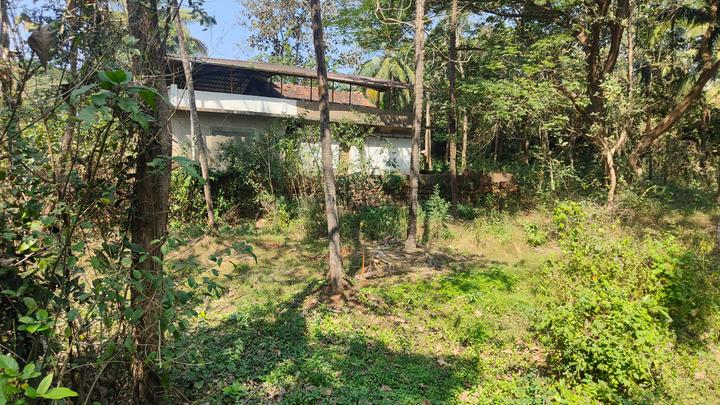 Divar Island Main Image 1