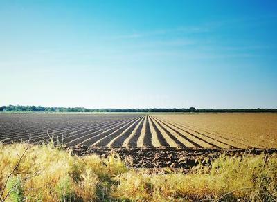 Image of 548778 Sq.ft Residential Plot / Land for sale in Visalpur, Ahmedabad for Rs. 270000000
