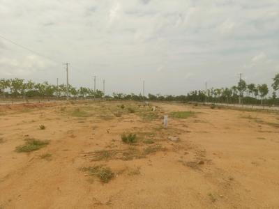 Residential Plot