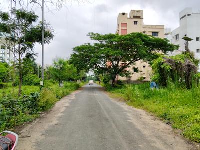 Action Area 2 Plot View 1