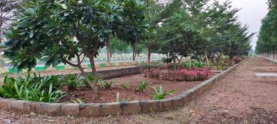 Subhagruha Sukrithi Saanvi Plot View 3