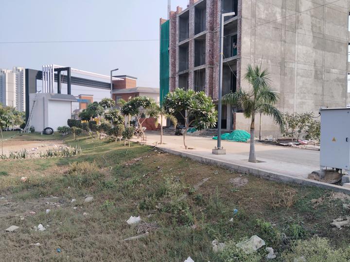 Skywhales Vienna Greens II Main Image 1