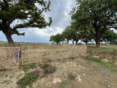 Residential Plot