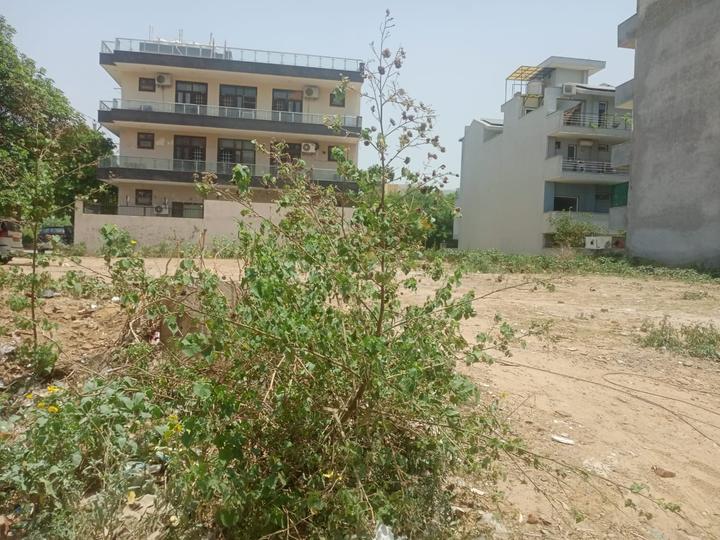 Sector 51 Main Image 1