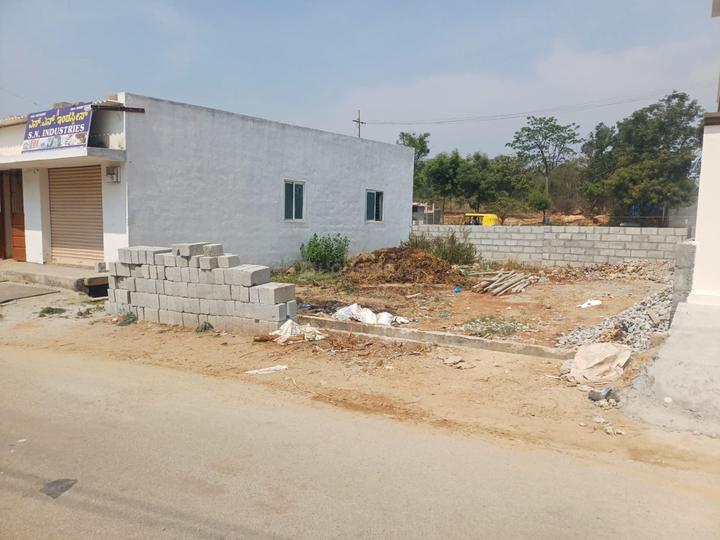 Thathaguni Main Image 1