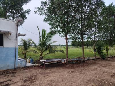 Agricultural Land