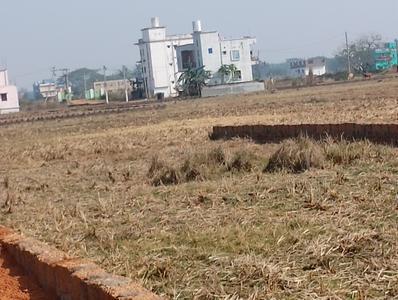 Balianta Plot View 1