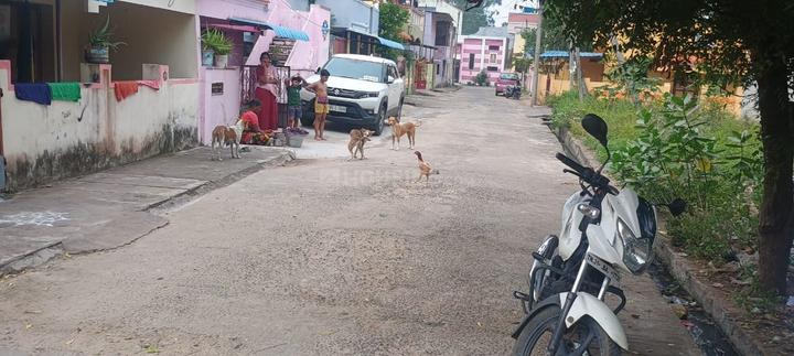 Allpettai, Cuddalore Main Image 1