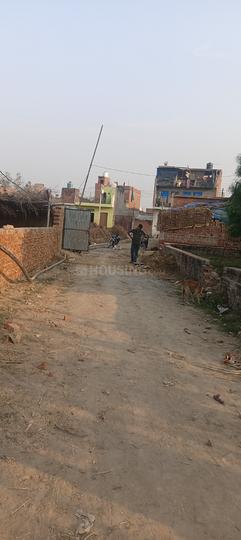 Society  Main Image 1